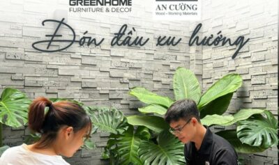 Cập nhật mẫu gỗ An Cường mới nhất 1